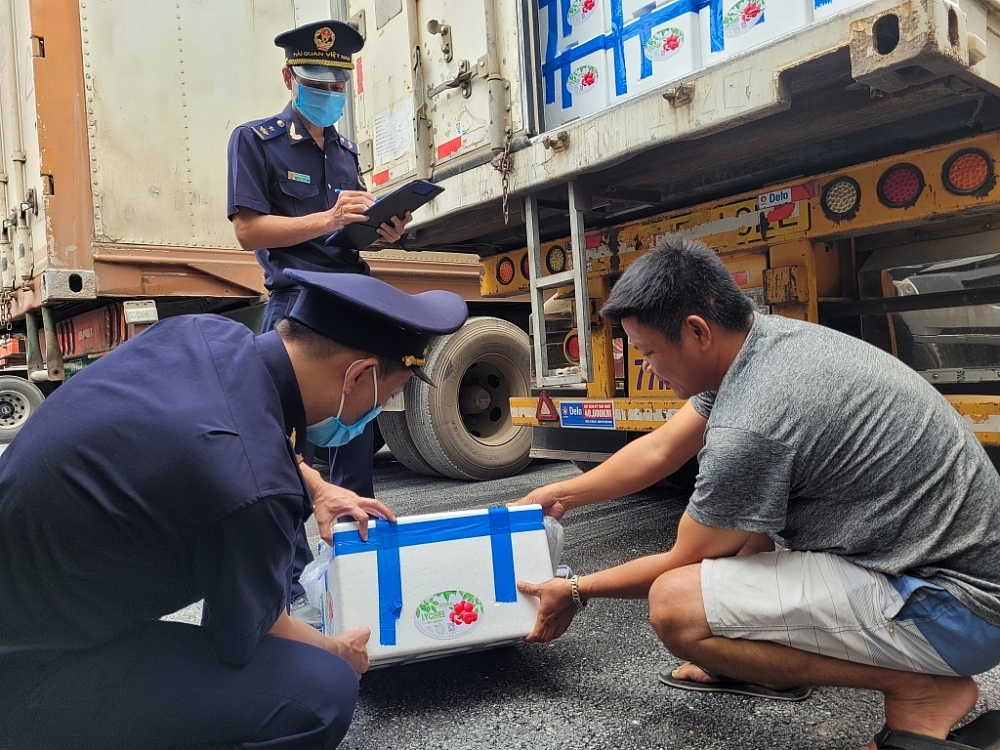 Đại lý tàu biển và dịch vụ hàng hải